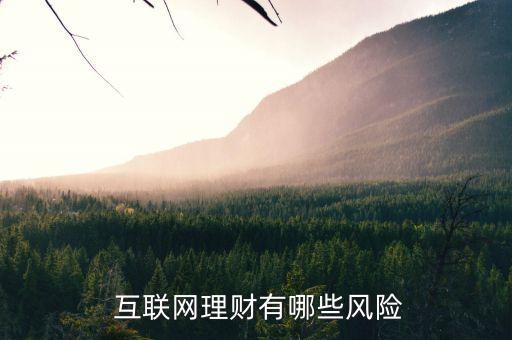  互聯(lián)網(wǎng)理財有哪些風(fēng)險