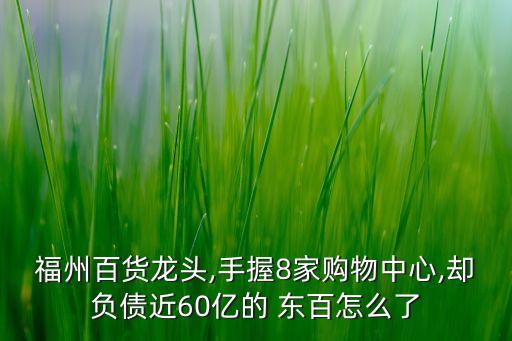 福州百貨龍頭,手握8家購物中心,卻負(fù)債近60億的 東百怎么了