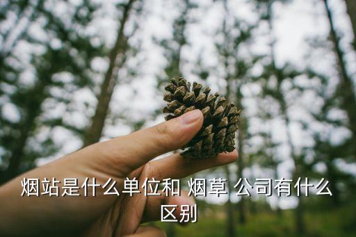 煙站是什么單位和 煙草 公司有什么區(qū)別