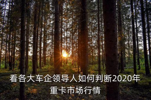 看各大車企領(lǐng)導(dǎo)人如何判斷2020年重卡市場(chǎng)行情