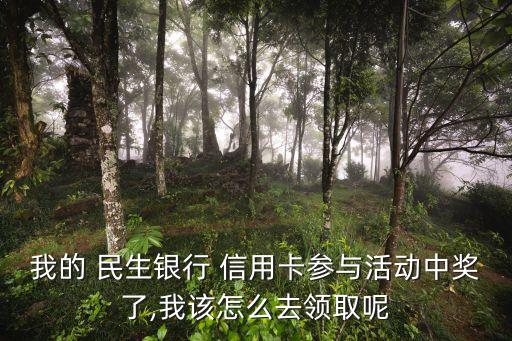 我的 民生銀行 信用卡參與活動(dòng)中獎(jiǎng)了,我該怎么去領(lǐng)取呢