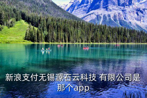 新浪支付無錫源石云科技 有限公司是那個app