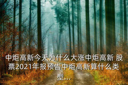 中炬高新今天為什么大漲中炬高新 股票2021年報預(yù)告中炬高新算什么類型...