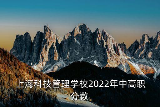  上?？萍脊芾韺W(xué)校2022年中高職分?jǐn)?shù)