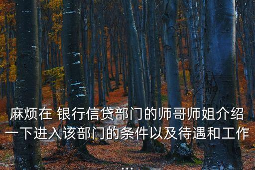 麻煩在 銀行信貸部門的師哥師姐介紹一下進入該部門的條件以及待遇和工作...