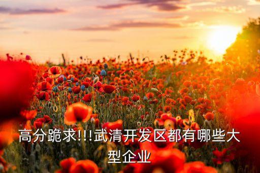 天津太平洋工業(yè)投資有限公司,天津工業(yè)投資有限公司史建國簡歷