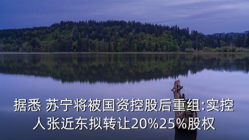 據(jù)悉 蘇寧將被國資控股后重組:實控人張近東擬轉(zhuǎn)讓20%25%股權(quán)