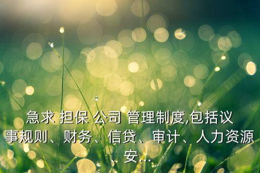 擔(dān)保公司的安全管理制度