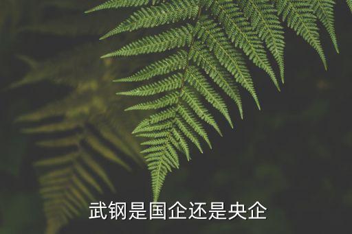  武鋼是國企還是央企