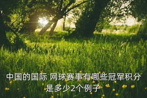 中國的國際 網(wǎng)球賽事有哪些冠軍積分是多少2個(gè)例子