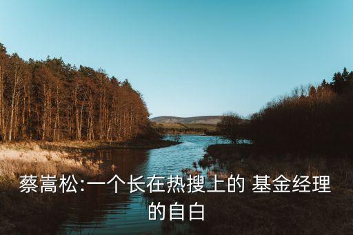 蔡嵩松:一個(gè)長(zhǎng)在熱搜上的 基金經(jīng)理的自白