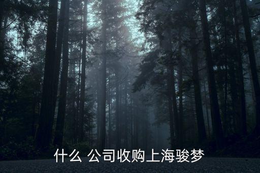 什么 公司收購(gòu)上海駿夢(mèng)