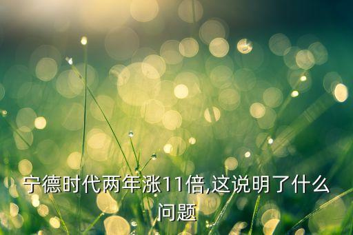 寧德時(shí)代兩年漲11倍,這說明了什么問題