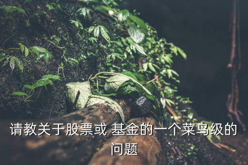 請教關(guān)于股票或 基金的一個(gè)菜鳥級的問題