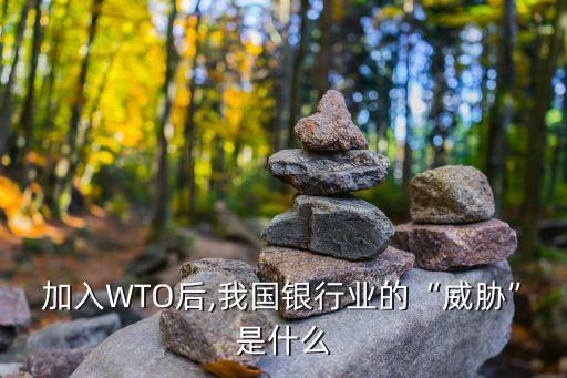 加入WTO后,我國銀行業(yè)的“威脅”是什么