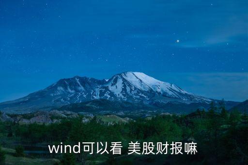 wind可以看 美股財報嘛