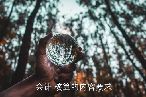  會(huì)計(jì) 核算的內(nèi)容要求