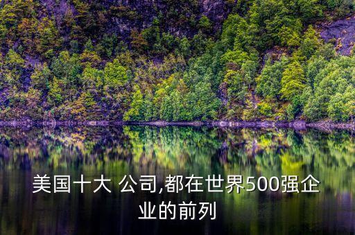 美國(guó)十大 公司,都在世界500強(qiáng)企業(yè)的前列