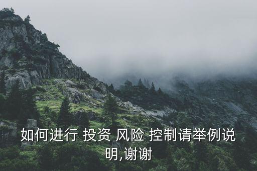 投資風(fēng)險控制體系,中小型企業(yè)投資風(fēng)險控制