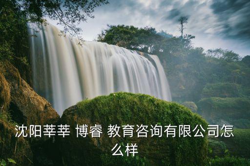 沈陽(yáng)莘莘 博睿 教育咨詢有限公司怎么樣