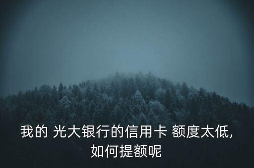 光大銀行提額度怎么申請