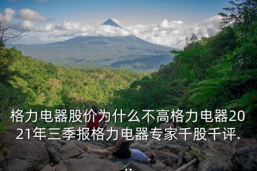 格力電器股價為什么不高格力電器2021年三季報格力電器專家千股千評...