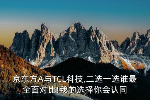 tcl的投資價(jià)值,TCL投資活動(dòng)