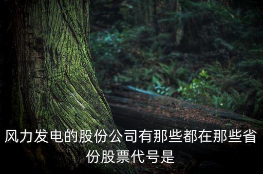 風(fēng)力發(fā)電的股份公司有那些都在那些省份股票代號(hào)是