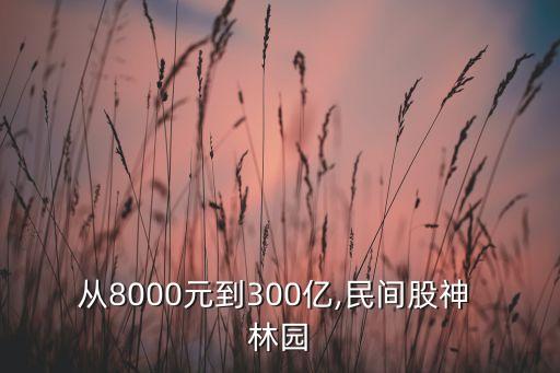 從8000元到300億,民間股神 林園