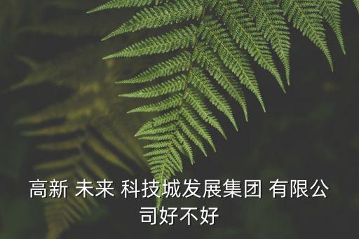 成都未知未來科技有限公司,成都高新未來科技城發(fā)展集團(tuán)有限公司