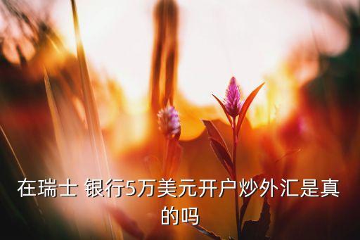 在瑞士 銀行5萬(wàn)美元開(kāi)戶炒外匯是真的嗎