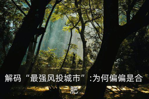 解碼“最強風(fēng)投城市”:為何偏偏是合肥