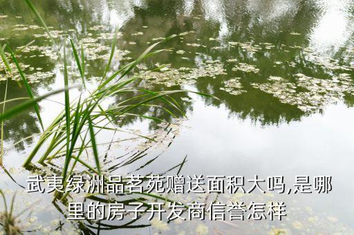  武夷綠洲品茗苑贈送面積大嗎,是哪里的房子開發(fā)商信譽怎樣