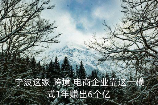  寧波這家 跨境 電商企業(yè)靠這一模式1年賺出6個億