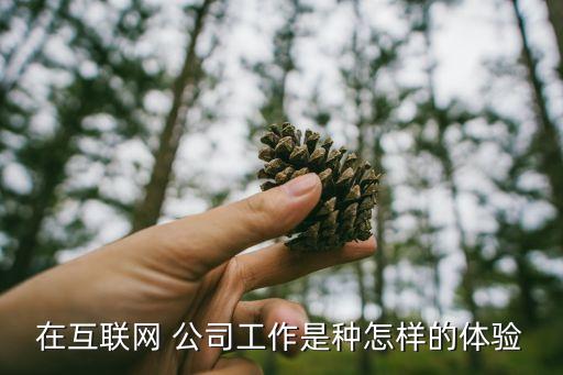 在互聯(lián)網(wǎng) 公司工作是種怎樣的體驗