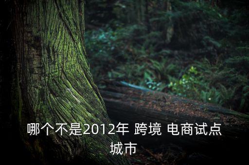 哪個不是2012年 跨境 電商試點城市