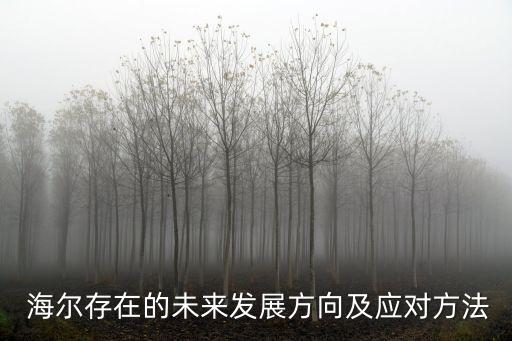  海爾存在的未來發(fā)展方向及應(yīng)對方法