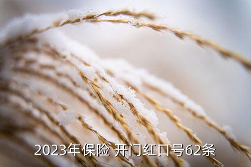 2023年保險(xiǎn) 開門紅口號62條