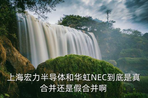 上海宏力半導(dǎo)體和華虹NEC到底是真合并還是假合并啊