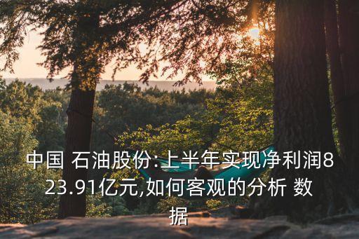 中國 石油股份:上半年實(shí)現(xiàn)凈利潤823.91億元,如何客觀的分析 數(shù)據(jù)