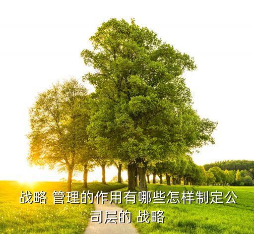 上海盛大企業(yè)戰(zhàn)略管理分析