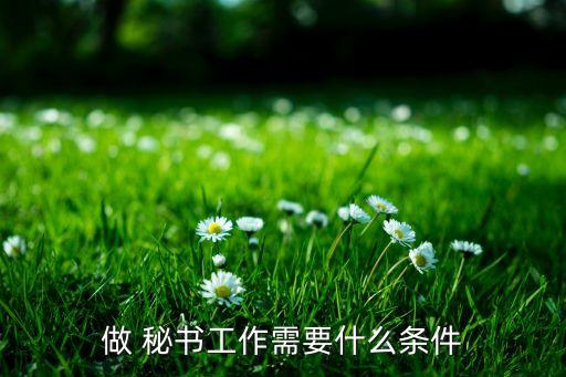 做 秘書(shū)工作需要什么條件