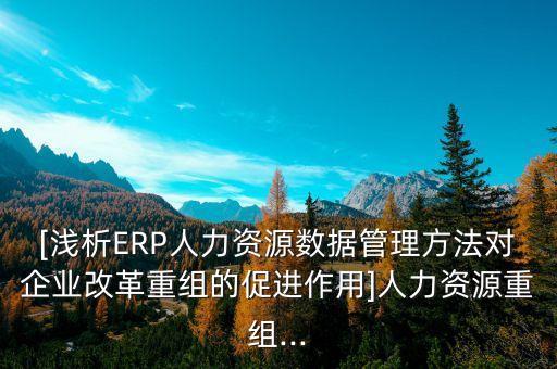 [淺析ERP人力資源數(shù)據(jù)管理方法對企業(yè)改革重組的促進(jìn)作用]人力資源重組...