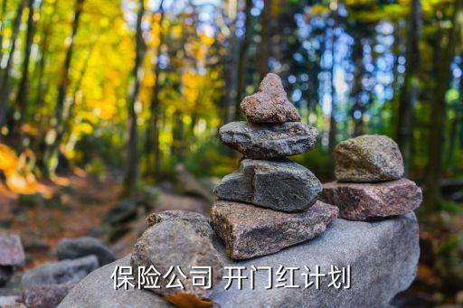 保險(xiǎn)公司 開門紅計(jì)劃