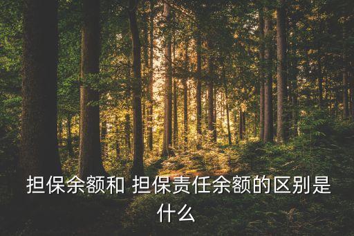 擔保公司放大倍數(shù),融資擔保公司放大倍數(shù)