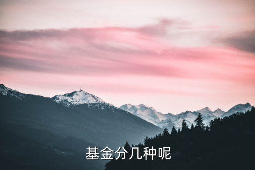 按投資市場(chǎng)分類(lèi)的股票基金