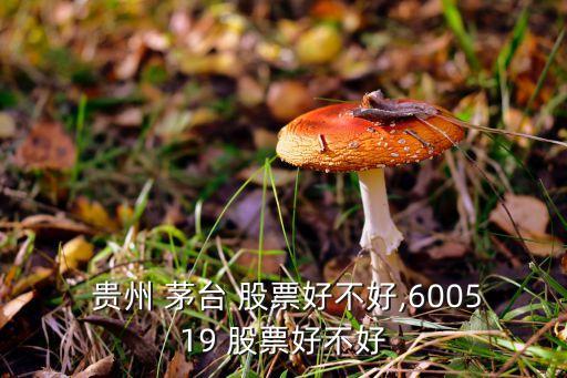 貴州茅臺(tái)這股票如何,600519貴州茅臺(tái)股票