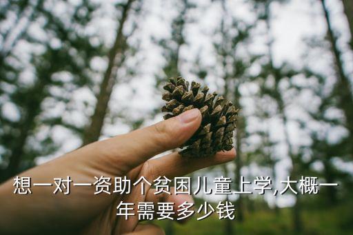 想一對一資助個(gè)貧困兒童上學(xué),大概一年需要多少錢