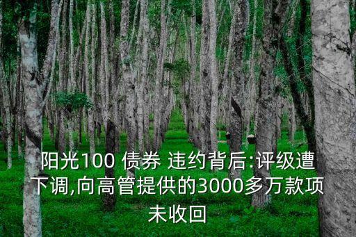 陽(yáng)光100 債券 違約背后:評(píng)級(jí)遭下調(diào),向高管提供的3000多萬(wàn)款項(xiàng)未收回