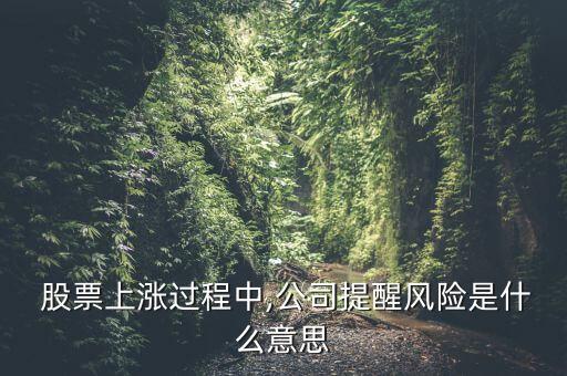  股票上漲過程中,公司提醒風(fēng)險(xiǎn)是什么意思